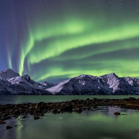 Lyngenfjord,Odins Hus Apartamento Olderdalen Exterior foto