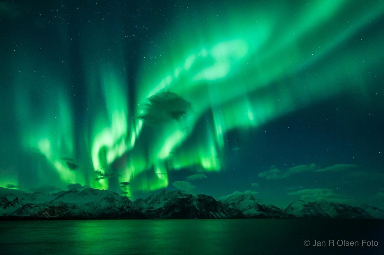 Lyngenfjord,Odins Hus Apartamento Olderdalen Exterior foto