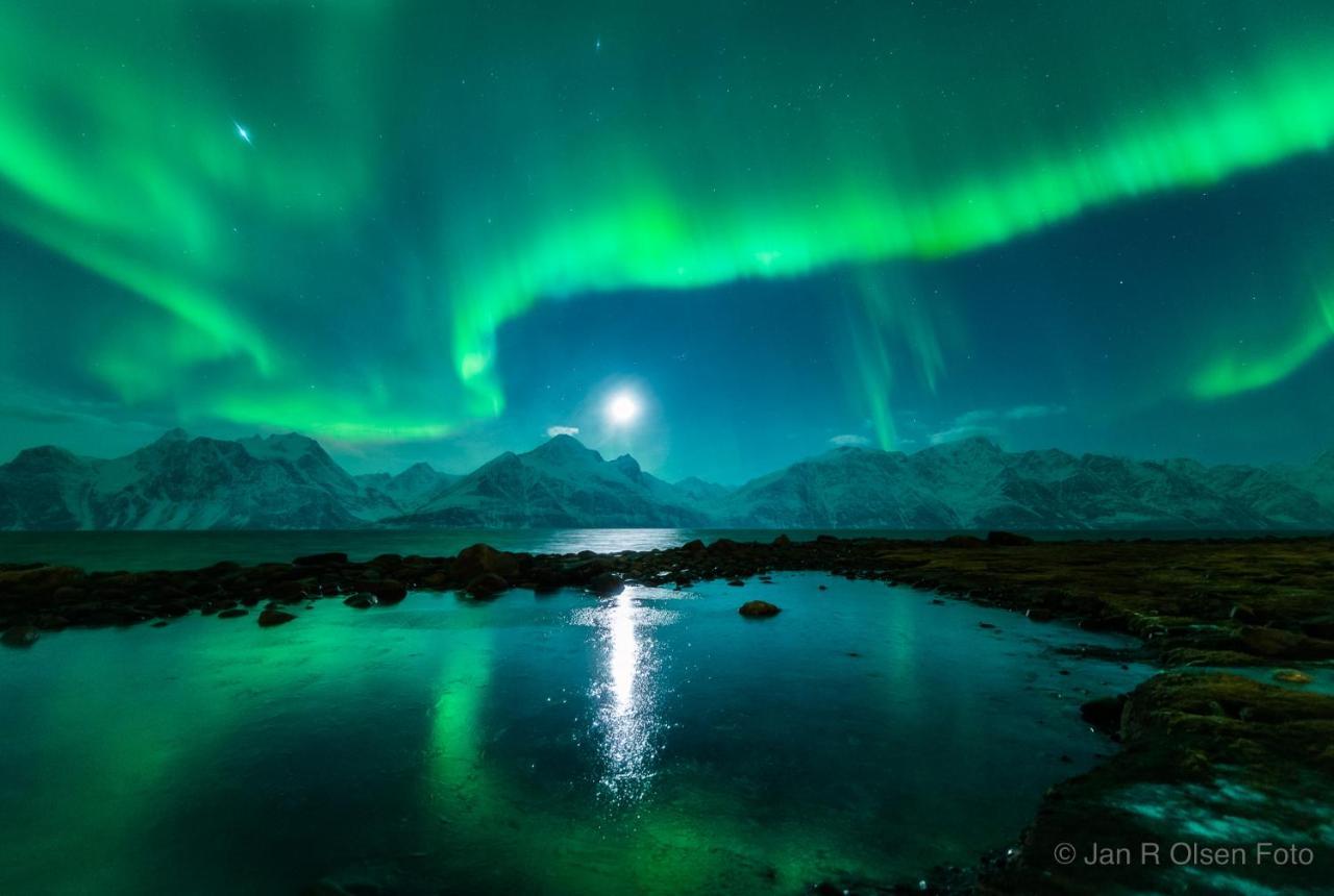 Lyngenfjord,Odins Hus Apartamento Olderdalen Exterior foto