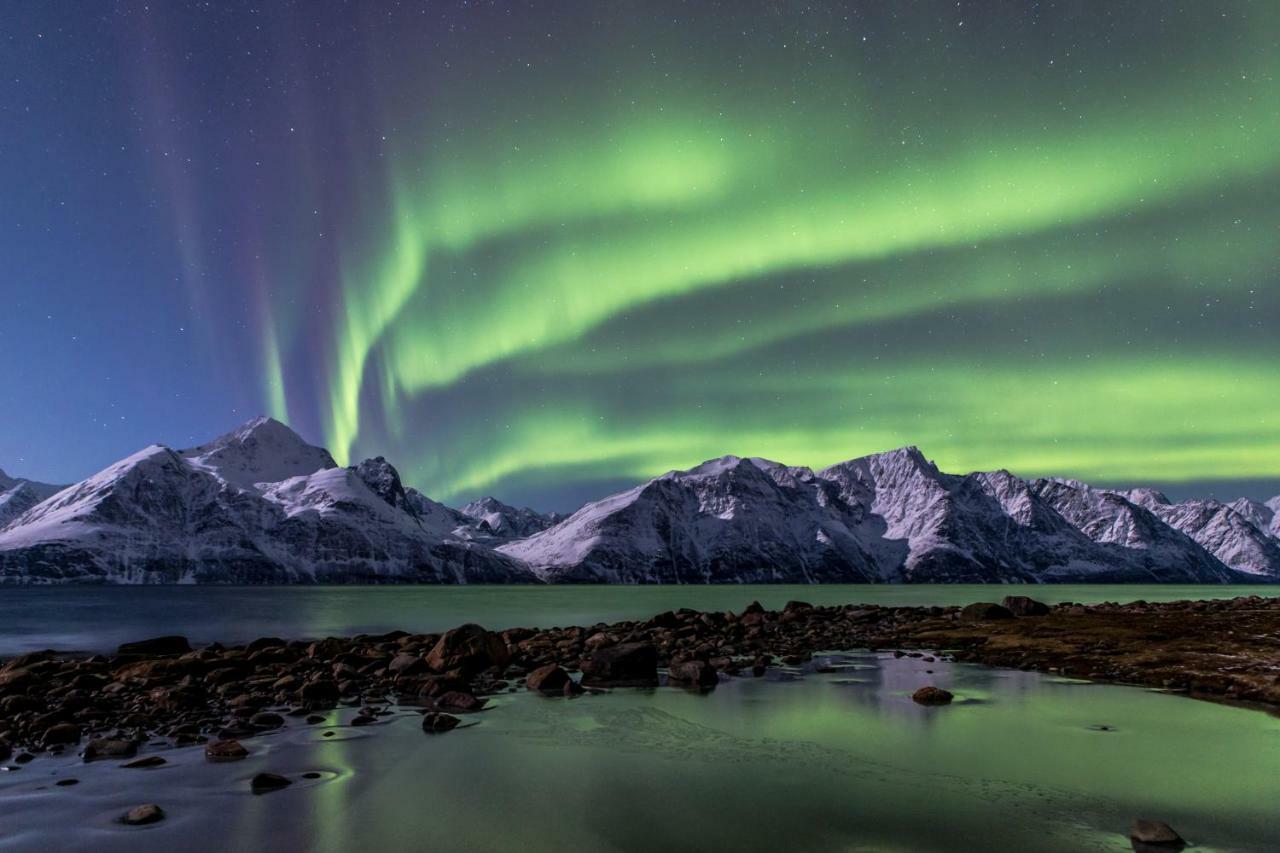 Lyngenfjord,Odins Hus Apartamento Olderdalen Exterior foto