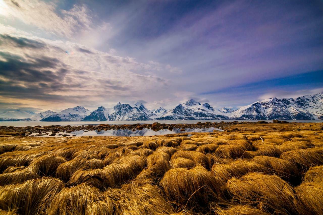 Lyngenfjord,Odins Hus Apartamento Olderdalen Exterior foto