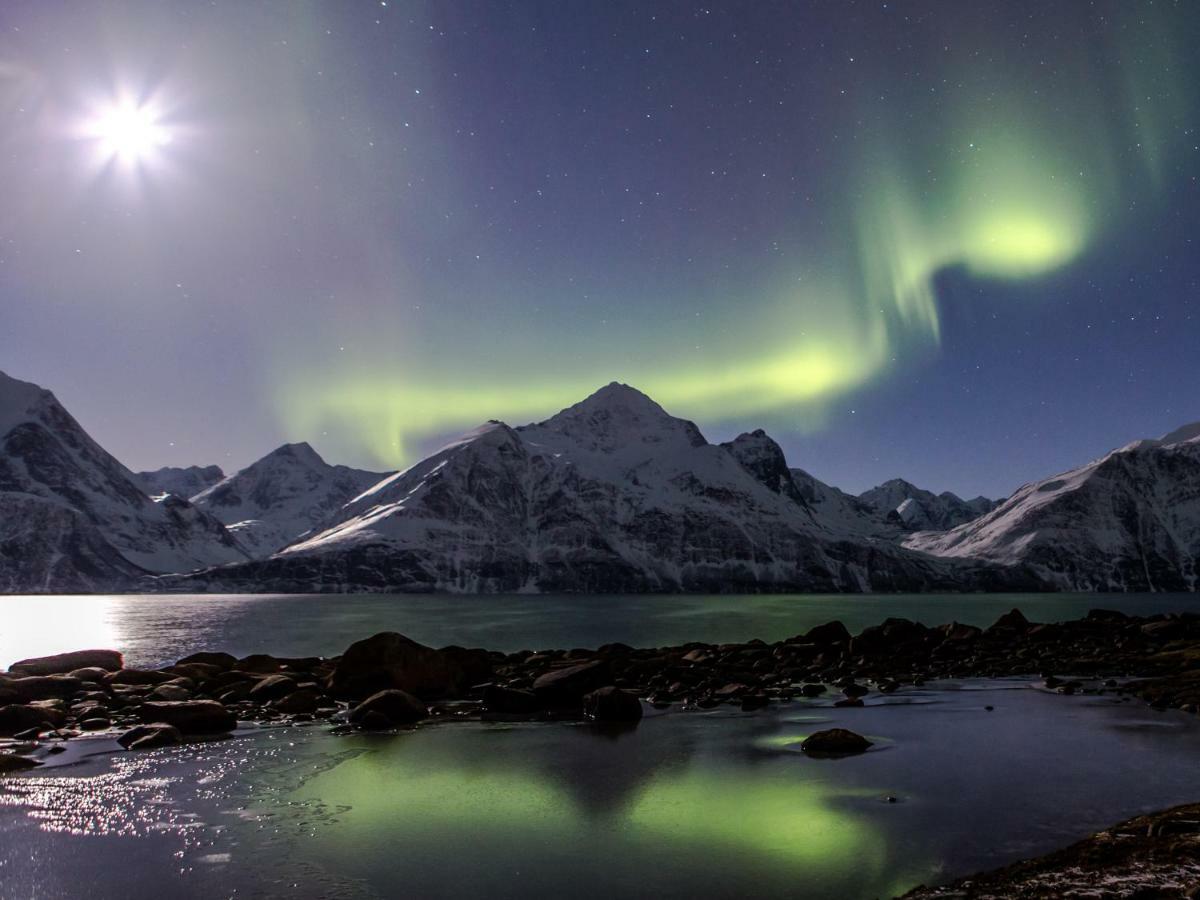 Lyngenfjord,Odins Hus Apartamento Olderdalen Exterior foto