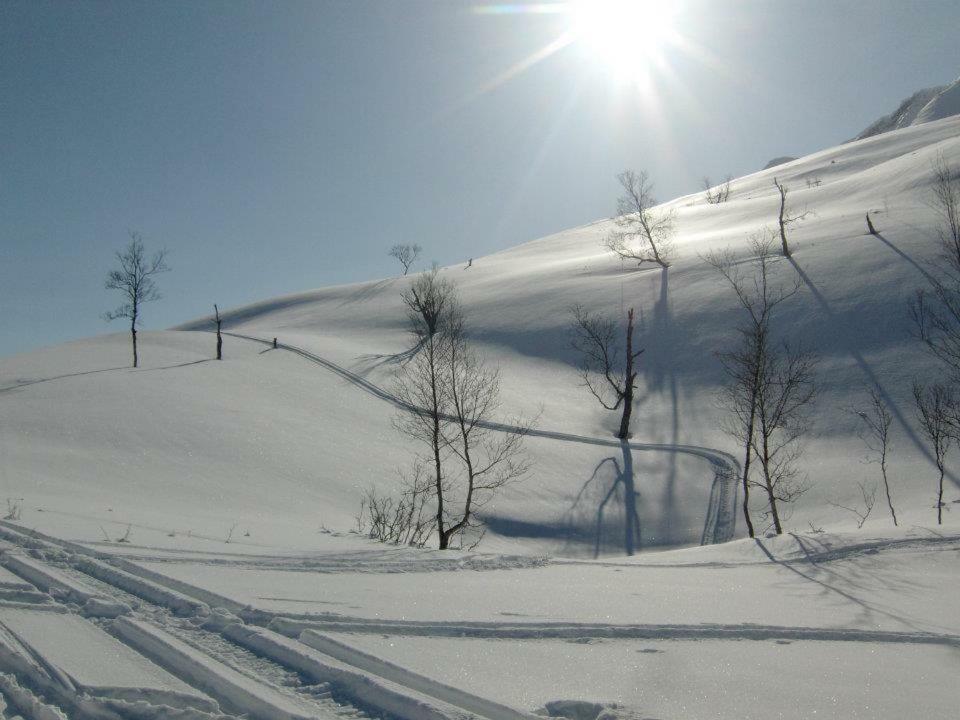 Lyngenfjord,Odins Hus Apartamento Olderdalen Exterior foto